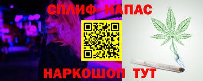 индика Железноводск