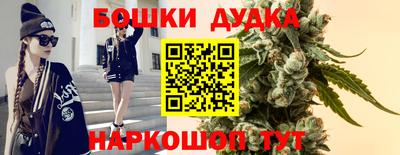 индика Железноводск