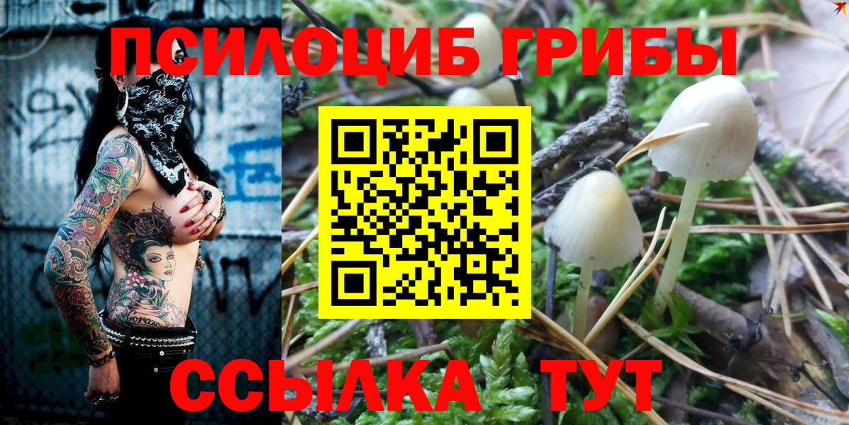 Псилоцибиновые грибы GOLDEN TEACHER Джанкой