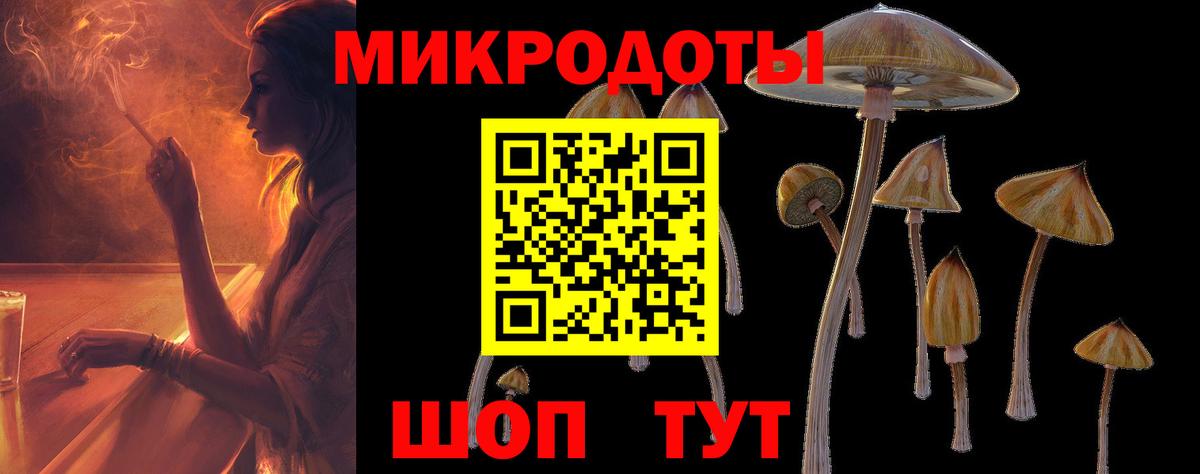 Галлюциногенные грибы Psilocybe  Вход с VPN  Псилоцибиновые грибы мухоморы  Джанкой 